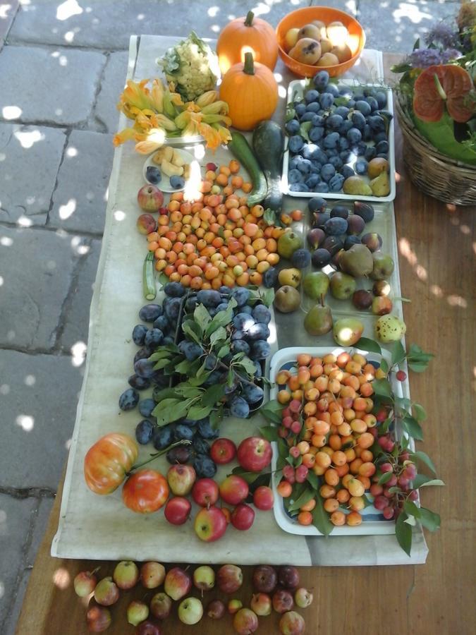 Bio&B Cascina Montebello Palazzago Luaran gambar